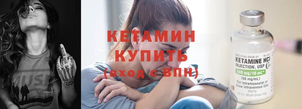 сатива Ростов