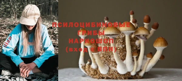 марки lsd Алексеевка